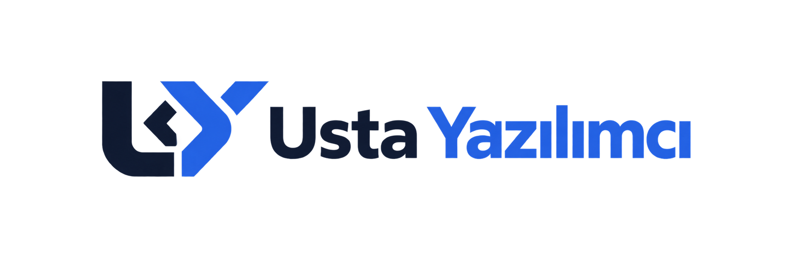 Usta Yazılımcı